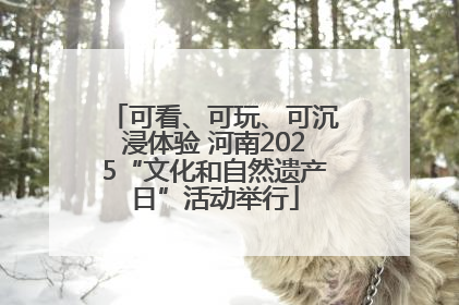 可看、可玩、可沉浸体验 河南2025“文化和自然遗产日”活动举行