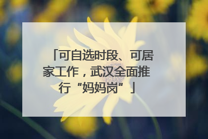 可自选时段、可居家工作，武汉全面推行“妈妈岗”