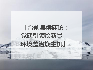 台前县侯庙镇：党建引领绘新景 环境整治焕生机