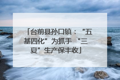台前县孙口镇：“五基四化”为抓手 “三夏”生产保丰收