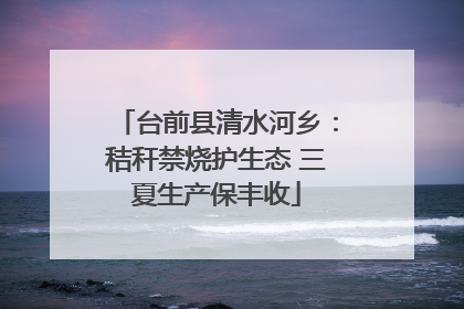 台前县清水河乡：秸秆禁烧护生态 三夏生产保丰收