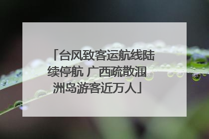 台风致客运航线陆续停航 广西疏散涠洲岛游客近万人