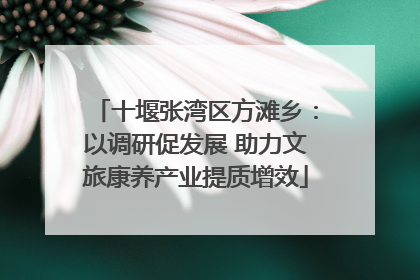 十堰张湾区方滩乡：以调研促发展 助力文旅康养产业提质增效