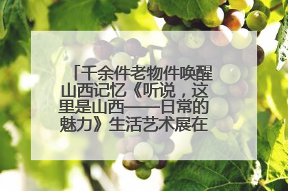 千余件老物件唤醒山西记忆《听说，这里是山西——日常的魅力》生活艺术展在忻州市图书馆开展