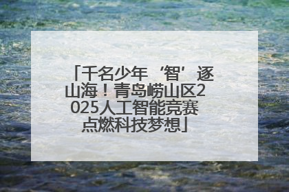 千名少年‘智’逐山海！青岛崂山区2025人工智能竞赛点燃科技梦想
