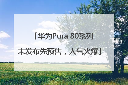 华为Pura 80系列未发布先预售，人气火爆