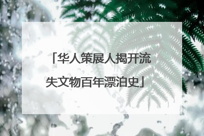 华人策展人揭开流失文物百年漂泊史