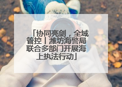 协同亮剑，全域管控丨潍坊海警局联合多部门开展海上执法行动
