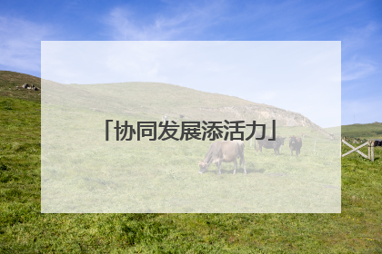 协同发展添活力