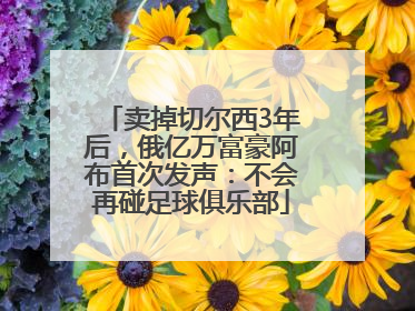 卖掉切尔西3年后，俄亿万富豪阿布首次发声：不会再碰足球俱乐部