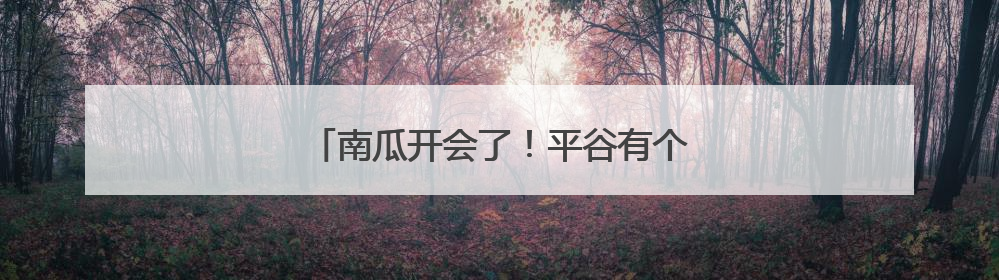 南瓜开会了！平谷有个可可爱爱的南瓜王国