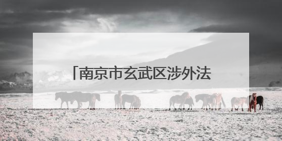南京市玄武区涉外法律服务中心正式启用