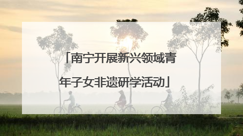 南宁开展新兴领域青年子女非遗研学活动