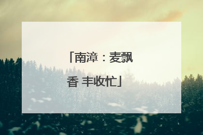 南漳：麦飘香 丰收忙
