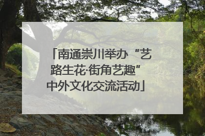 南通崇川举办“艺路生花·街角艺趣”中外文化交流活动