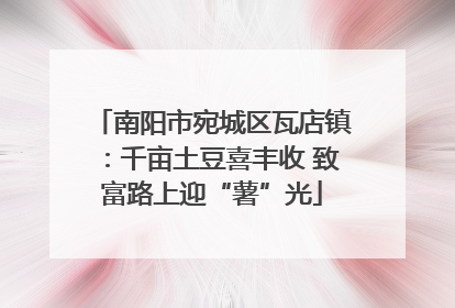 南阳市宛城区瓦店镇：千亩土豆喜丰收 致富路上迎“薯”光