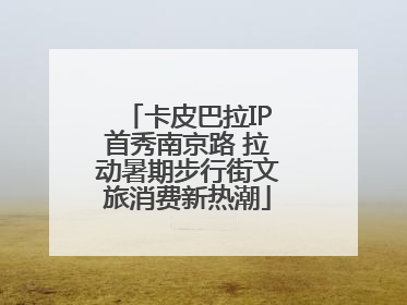 卡皮巴拉IP首秀南京路 拉动暑期步行街文旅消费新热潮