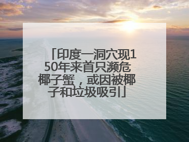 印度一洞穴现150年来首只濒危椰子蟹，或因被椰子和垃圾吸引