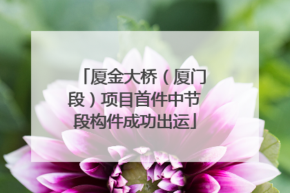 厦金大桥（厦门段）项目首件中节段构件成功出运