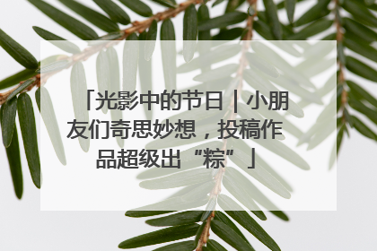 光影中的节日｜小朋友们奇思妙想，投稿作品超级出“粽”