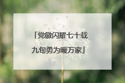 党徽闪耀七十载 九旬勇为暖万家