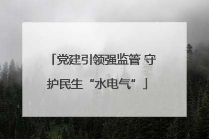 党建引领强监管 守护民生“水电气”