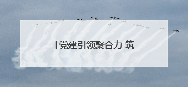 党建引领聚合力 筑牢安全“防火墙”