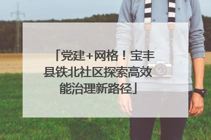 党建+网格！宝丰县铁北社区探索高效能治理新路径