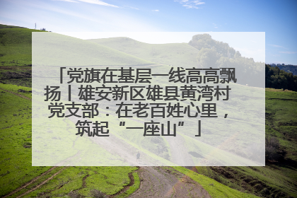 党旗在基层一线高高飘扬丨雄安新区雄县黄湾村党支部：在老百姓心里，筑起“一座山”