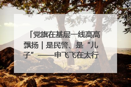 党旗在基层一线高高飘扬｜是民警、是“儿子”——申飞飞在太行山中的一线坚守