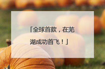 全球首款，在芜湖成功首飞！