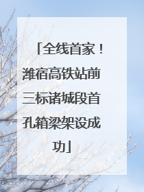 全线首家！潍宿高铁站前三标诸城段首孔箱梁架设成功