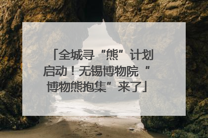 全城寻“熊”计划启动！无锡博物院“博物熊抱集”来了