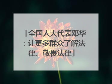 全国人大代表邓华：让更多群众了解法律、敬畏法律