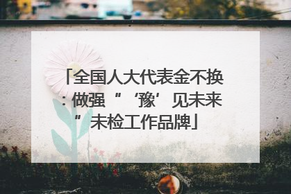 全国人大代表金不换：做强“‘豫’见未来”未检工作品牌