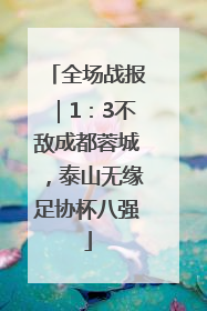 全场战报｜1：3不敌成都蓉城，泰山无缘足协杯八强