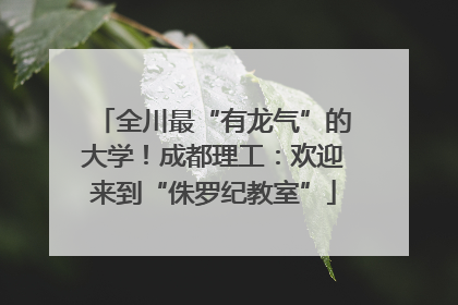 全川最“有龙气”的大学！成都理工：欢迎来到“侏罗纪教室”