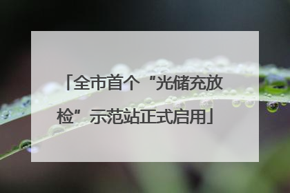 全市首个“光储充放检”示范站正式启用