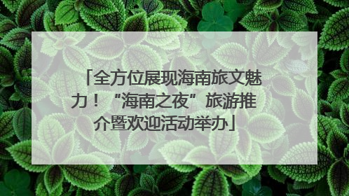 全方位展现海南旅文魅力！“海南之夜”旅游推介暨欢迎活动举办