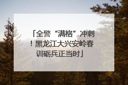 全警“满格”冲刺！黑龙江大兴安岭春训砺兵正当时