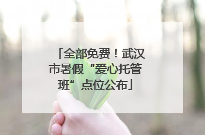 全部免费！武汉市暑假“爱心托管班”点位公布