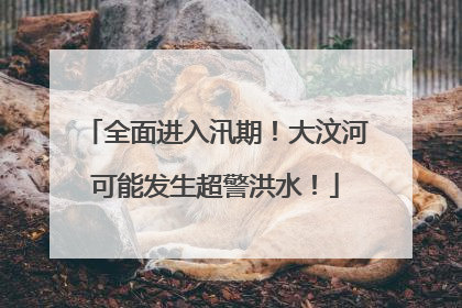 全面进入汛期！大汶河可能发生超警洪水！