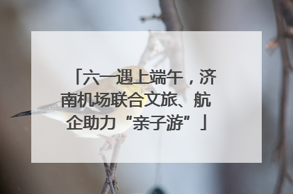 六一遇上端午，济南机场联合文旅、航企助力“亲子游”