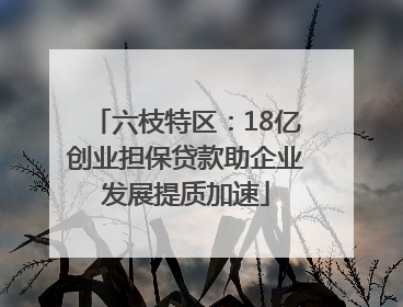六枝特区：18亿创业担保贷款助企业发展提质加速