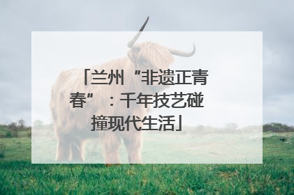 兰州“非遗正青春”：千年技艺碰撞现代生活