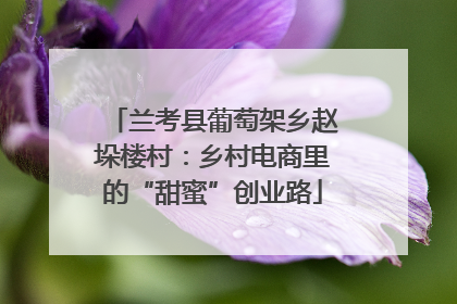 兰考县葡萄架乡赵垛楼村：乡村电商里的“甜蜜”创业路