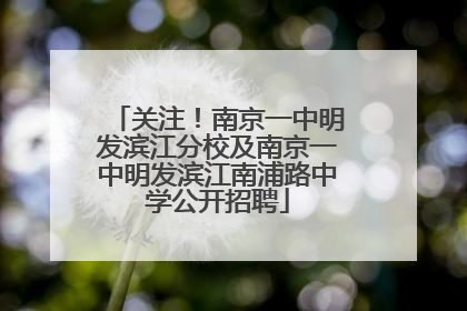 关注！南京一中明发滨江分校及南京一中明发滨江南浦路中学公开招聘