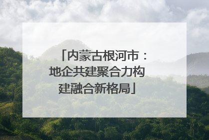 内蒙古根河市：地企共建聚合力构建融合新格局