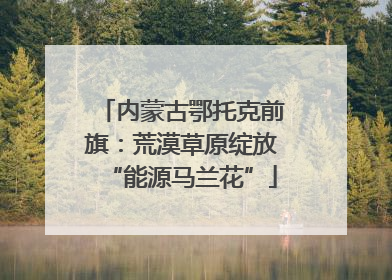 内蒙古鄂托克前旗：荒漠草原绽放“能源马兰花”