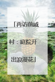 再访前戚村：庭院开出浪漫花